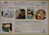 2016shiogama04.jpg